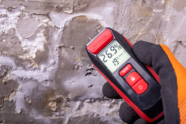 Best Black Mold Removal  in La Grange, TX