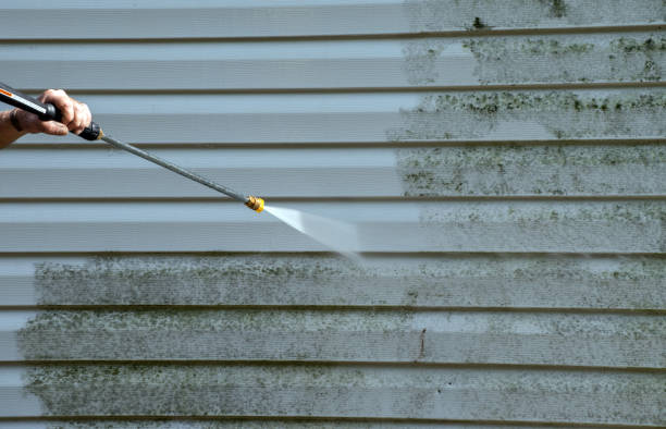 Best Toxic Mold Removal  in La Grange, TX